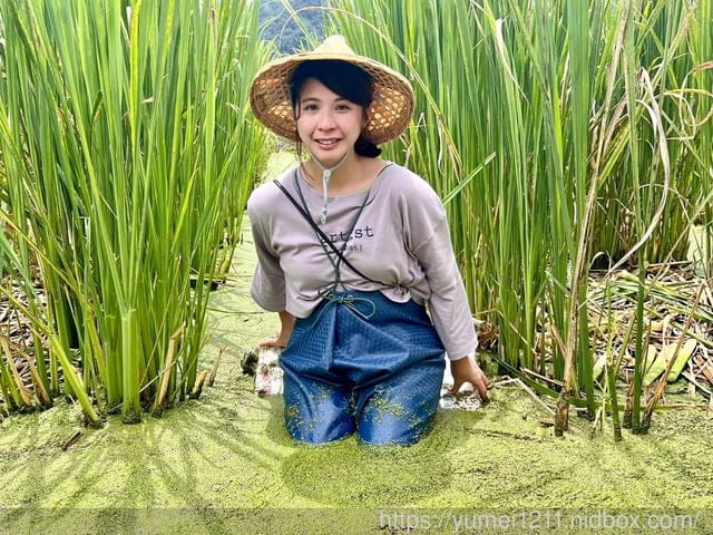 南投埔里|最佳主茭腳白筍農場|茭白筍採集體驗|慢旅行|辦桌 - 第34張圖 南投埔里|最佳主茭腳白筍農場|茭白筍採集體驗|慢旅行|辦桌