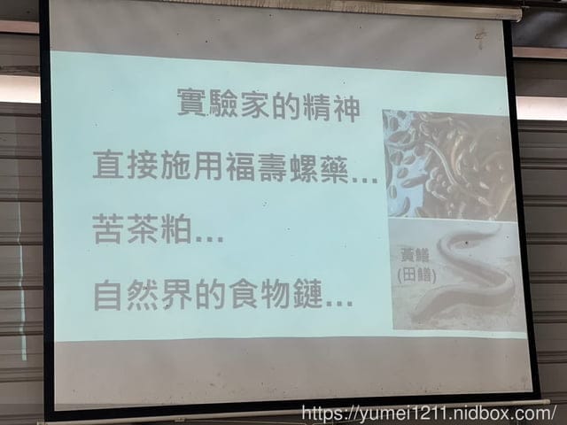 南投埔里|最佳主茭腳白筍農場|茭白筍採集體驗|慢旅行|辦桌 - 第11張圖 南投埔里|最佳主茭腳白筍農場|茭白筍採集體驗|慢旅行|辦桌
