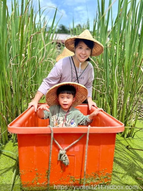 南投埔里|最佳主茭腳白筍農場|茭白筍採集體驗|慢旅行|辦桌 - 第33張圖 南投埔里|最佳主茭腳白筍農場|茭白筍採集體驗|慢旅行|辦桌