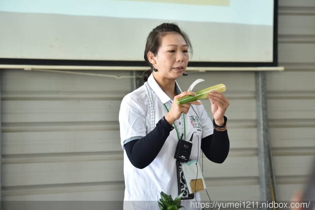 南投埔里|最佳主茭腳白筍農場|茭白筍採集體驗|慢旅行|辦桌 - 第16張圖 南投埔里|最佳主茭腳白筍農場|茭白筍採集體驗|慢旅行|辦桌