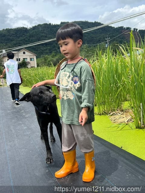 南投埔里|最佳主茭腳白筍農場|茭白筍採集體驗|慢旅行|辦桌 - 第45張圖 南投埔里|最佳主茭腳白筍農場|茭白筍採集體驗|慢旅行|辦桌