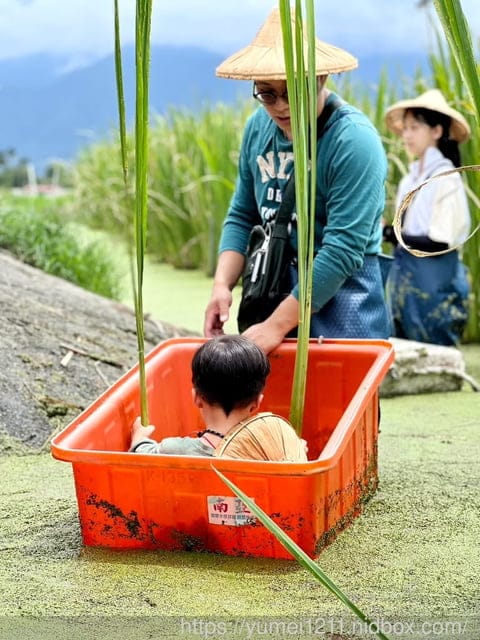 南投埔里|最佳主茭腳白筍農場|茭白筍採集體驗|慢旅行|辦桌 - 第40張圖 南投埔里|最佳主茭腳白筍農場|茭白筍採集體驗|慢旅行|辦桌