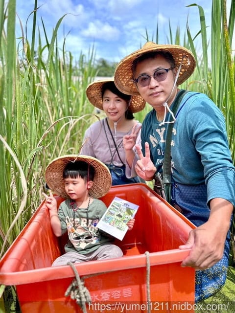 南投埔里|最佳主茭腳白筍農場|茭白筍採集體驗|慢旅行|辦桌 - 第41張圖 南投埔里|最佳主茭腳白筍農場|茭白筍採集體驗|慢旅行|辦桌