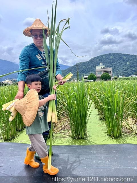 南投埔里|最佳主茭腳白筍農場|茭白筍採集體驗|慢旅行|辦桌 - 第43張圖 南投埔里|最佳主茭腳白筍農場|茭白筍採集體驗|慢旅行|辦桌