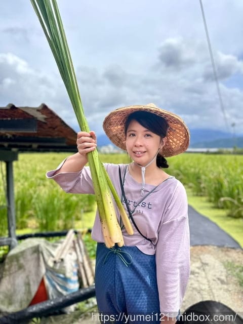 南投埔里|最佳主茭腳白筍農場|茭白筍採集體驗|慢旅行|辦桌 - 第42張圖 南投埔里|最佳主茭腳白筍農場|茭白筍採集體驗|慢旅行|辦桌