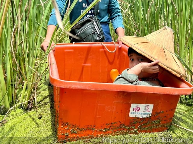 南投埔里|最佳主茭腳白筍農場|茭白筍採集體驗|慢旅行|辦桌 - 第32張圖 南投埔里|最佳主茭腳白筍農場|茭白筍採集體驗|慢旅行|辦桌