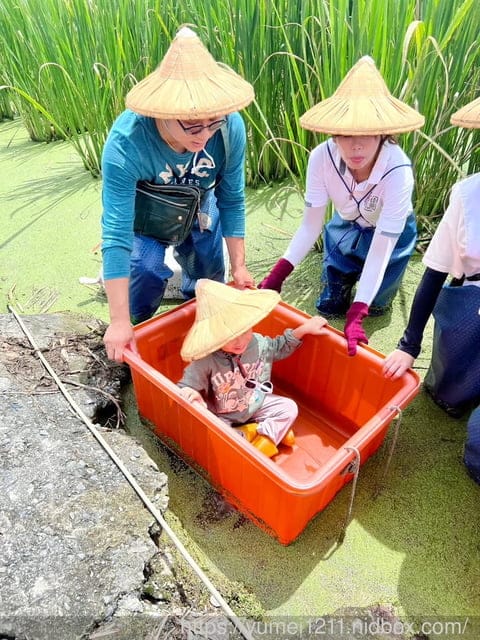 南投埔里|最佳主茭腳白筍農場|茭白筍採集體驗|慢旅行|辦桌 - 第29張圖 南投埔里|最佳主茭腳白筍農場|茭白筍採集體驗|慢旅行|辦桌