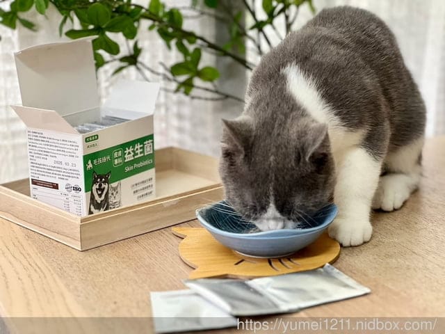 寵物保養食品|毛孩時代|皮膚專科益生菌|換季必備寵物保健|寵物益生菌怎麼挑 - 第7張圖 寵物保養食品|毛孩時代|皮膚專科益生菌|換季必備寵物保健|寵物益生菌怎麼挑