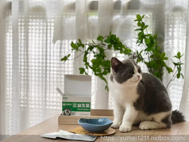寵物保養食品|毛孩時代|皮膚專科益生菌|換季必備寵物保健|寵物益生菌怎麼挑 - 第13張圖 寵物保養食品|毛孩時代|皮膚專科益生菌|換季必備寵物保健|寵物益生菌怎麼挑
