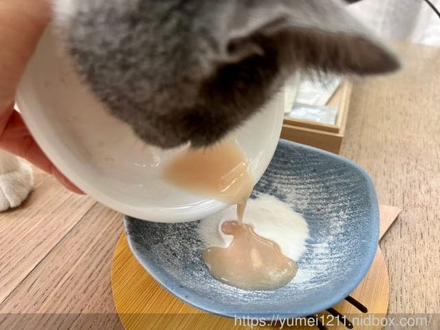 寵物保養食品|毛孩時代|皮膚專科益生菌|換季必備寵物保健|寵物益生菌怎麼挑 - 第6張圖 寵物保養食品|毛孩時代|皮膚專科益生菌|換季必備寵物保健|寵物益生菌怎麼挑