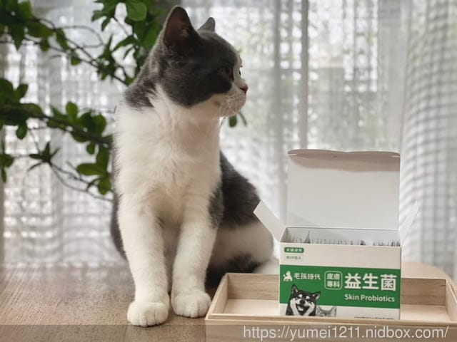 寵物保養食品|毛孩時代|皮膚專科益生菌|換季必備寵物保健|寵物益生菌怎麼挑 - 第3張圖 寵物保養食品|毛孩時代|皮膚專科益生菌|換季必備寵物保健|寵物益生菌怎麼挑