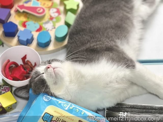 寵物保養食品|毛孩時代|皮膚專科益生菌|換季必備寵物保健|寵物益生菌怎麼挑 - 第10張圖 寵物保養食品|毛孩時代|皮膚專科益生菌|換季必備寵物保健|寵物益生菌怎麼挑