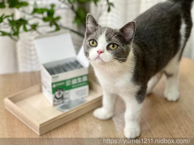 寵物保養食品|毛孩時代|皮膚專科益生菌|換季必備寵物保健|寵物益生菌怎麼挑 - 第9張圖 寵物保養食品|毛孩時代|皮膚專科益生菌|換季必備寵物保健|寵物益生菌怎麼挑
