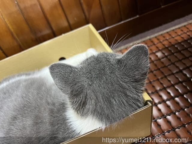寵物護理系列|寵物益生菌防護噴霧|淨毒五郎|除臭噴霧無香|寵物產品 - 第9張圖 寵物護理系列|寵物益生菌防護噴霧|淨毒五郎|除臭噴霧無香|寵物產品