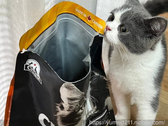 寵物食品開箱｜CHARM野性魅力｜幼貓無穀寵物飼料｜土雞塊+鱉蛋/赤羽土雞塊凍乾零食｜幼貓配方 ​​​​​​​