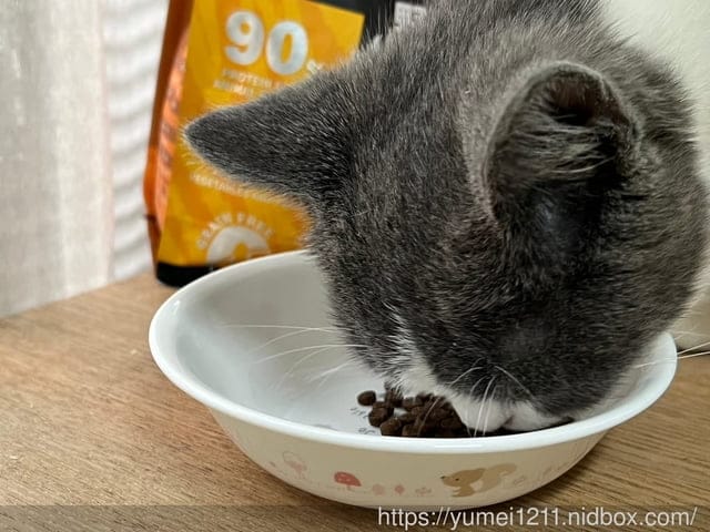 寵物食品開箱｜CHARM野性魅力｜幼貓無穀寵物飼料｜土雞塊+鱉蛋/赤羽土雞塊凍乾零食｜幼貓配方 ​​​​​​​