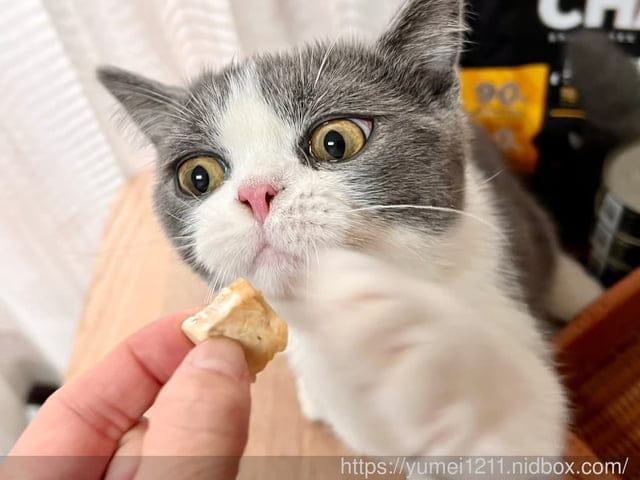 寵物食品開箱｜CHARM野性魅力｜幼貓無穀寵物飼料｜土雞塊+鱉蛋/赤羽土雞塊凍乾零食｜幼貓配方 ​​​​​​​