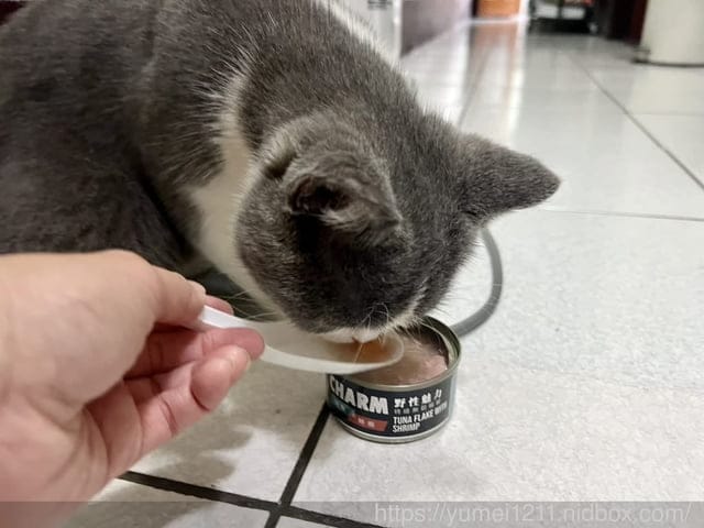 寵物食品開箱｜CHARM野性魅力｜幼貓無穀寵物飼料｜土雞塊+鱉蛋/赤羽土雞塊凍乾零食｜幼貓配方 ​​​​​​​
