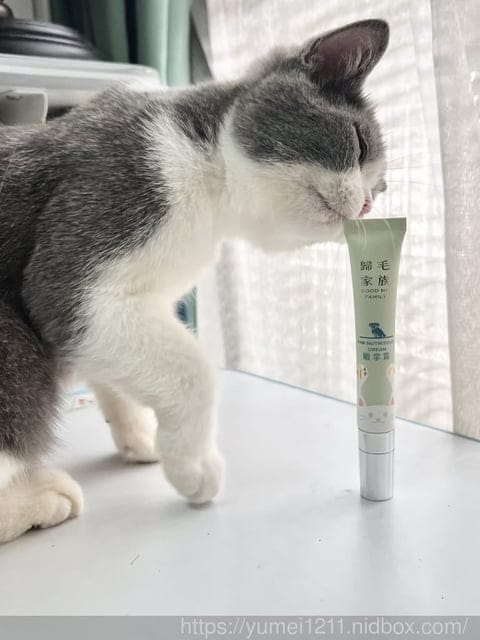 寵物護膚用品|GoodMo 歸毛家族| 寵物嫩掌霜|全齡犬貓適用 - 第7張圖 寵物護膚用品|GoodMo 歸毛家族| 寵物嫩掌霜|全齡犬貓適用