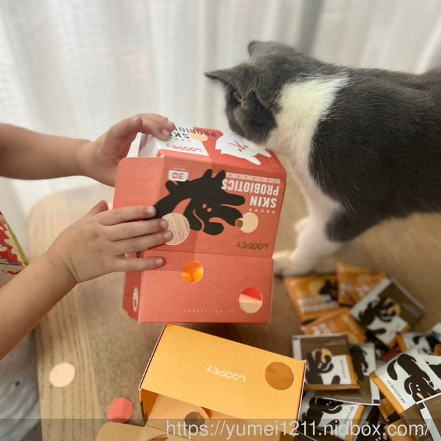 寵物保健品|LOOPET寵物保健品|寵物皮膚益生菌|寵物腸胃益生菌|短毛貓咪 - 第13張圖 寵物保健品|LOOPET寵物保健品|寵物皮膚益生菌|寵物腸胃益生菌|短毛貓咪