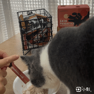 寵物保健品|LOOPET寵物保健品|寵物皮膚益生菌|寵物腸胃益生菌|短毛貓咪 - 第4張圖 寵物保健品|LOOPET寵物保健品|寵物皮膚益生菌|寵物腸胃益生菌|短毛貓咪