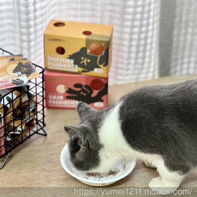 寵物保健品|LOOPET寵物保健品|寵物皮膚益生菌|寵物腸胃益生菌|短毛貓咪 - 第8張圖 寵物保健品|LOOPET寵物保健品|寵物皮膚益生菌|寵物腸胃益生菌|短毛貓咪