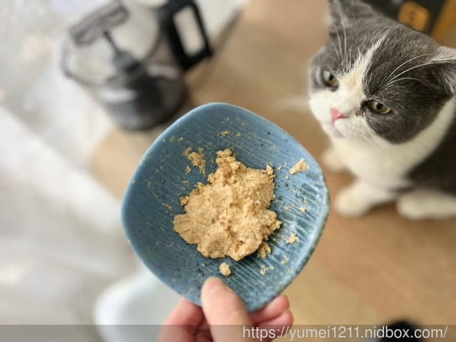 料理機推薦|營養大師|NM600輕巧料理機|氣炸芝麻蛋糕|貓咪肉泥 - 第9張圖 料理機推薦|營養大師|NM600輕巧料理機|氣炸芝麻蛋糕|貓咪肉泥