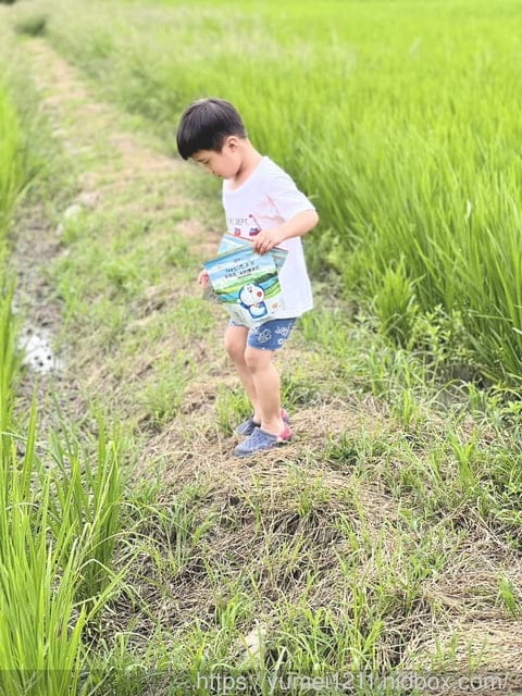 丹尼船長｜米米花｜哆啦Ａ夢收藏款新上市｜要四款一起蒐集才可以看到全貌喔。