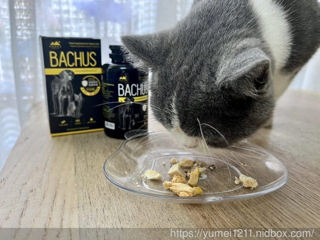 寵物日常保健分享|2023寵物新品上市開箱|王品寵物-BACHUS瑞士巴吉斯保健錠開箱|實際體驗品 - 第6張圖 寵物日常保健分享|2023寵物新品上市開箱|王品寵物-BACHUS瑞士巴吉斯保健錠開箱|實際體驗品