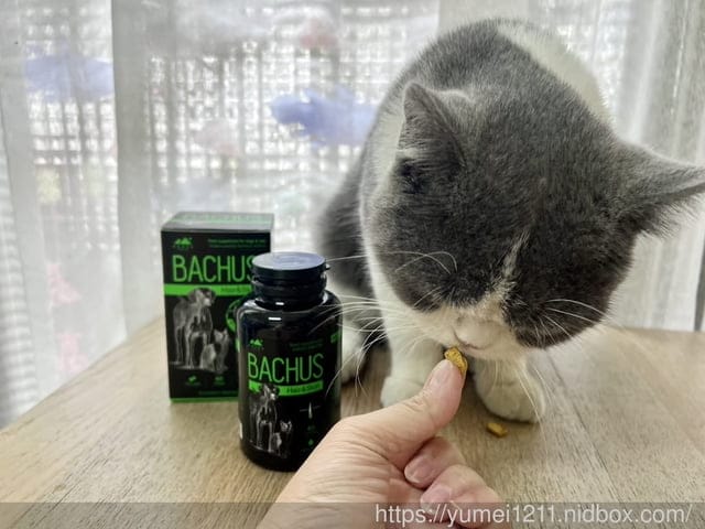寵物日常保健分享|2023寵物新品上市開箱|王品寵物-BACHUS瑞士巴吉斯保健錠開箱|實際體驗品 - 第9張圖 寵物日常保健分享|2023寵物新品上市開箱|王品寵物-BACHUS瑞士巴吉斯保健錠開箱|實際體驗品