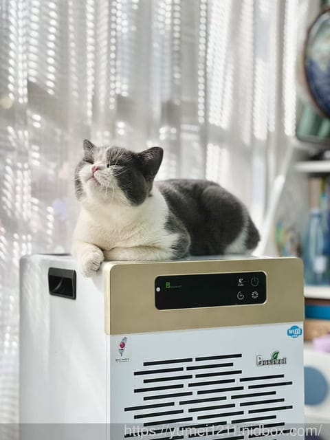 電離集塵式空氣清淨機推薦|Bosswell博士韋爾|旗艦款雙電離免耗材清淨機BS502MU|滅菌超越過濾|免耗材|甲醛去除率皆可達99%以上 - 第3張圖 電離集塵式空氣清淨機推薦|Bosswell博士韋爾|旗艦款雙電離免耗材清淨機BS502MU|滅菌超越過濾|免耗材|甲醛去除率皆可達99%以上