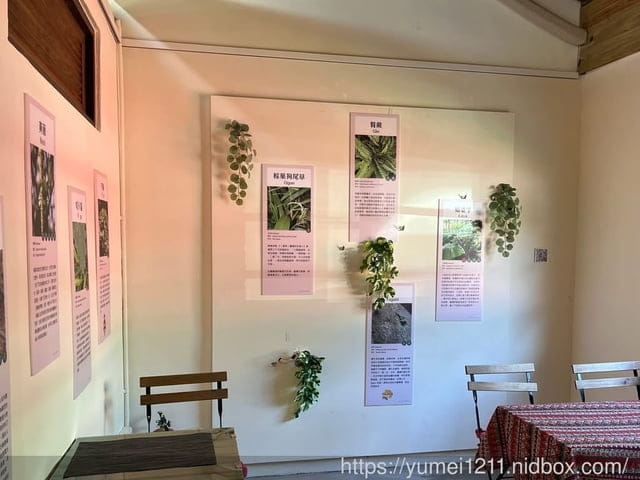 台中霧峰親子景點|光復新村-原流新創聚落一日體驗|原流新創聚落 - 第16張圖 台中霧峰親子景點|光復新村-原流新創聚落一日體驗|原流新創聚落