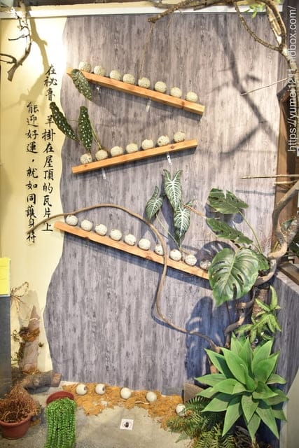 台中霧峰親子景點|光復新村-原流新創聚落一日體驗|原流新創聚落 - 第43張圖 台中霧峰親子景點|光復新村-原流新創聚落一日體驗|原流新創聚落