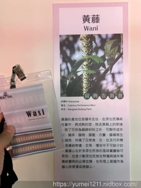 台中霧峰親子景點|光復新村-原流新創聚落一日體驗|原流新創聚落 - 第15張圖 台中霧峰親子景點|光復新村-原流新創聚落一日體驗|原流新創聚落