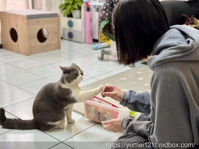 寵物保姆推薦|毛小愛寵物保姆|寵物服務媒合平台|到府照顧服務、到府美容|寵托毛小愛APP - 第6張圖 寵物保姆推薦|毛小愛寵物保姆|寵物服務媒合平台|到府照顧服務、到府美容|寵托毛小愛APP