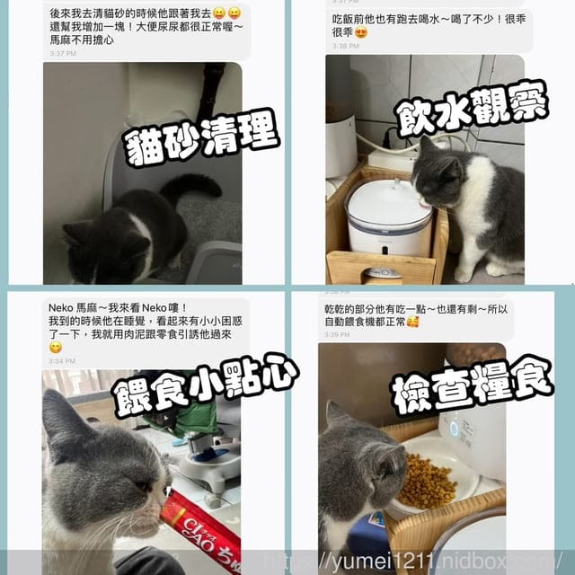 寵物保姆推薦|毛小愛寵物保姆|寵物服務媒合平台|到府照顧服務、到府美容|寵托毛小愛APP - 第13張圖 寵物保姆推薦|毛小愛寵物保姆|寵物服務媒合平台|到府照顧服務、到府美容|寵托毛小愛APP