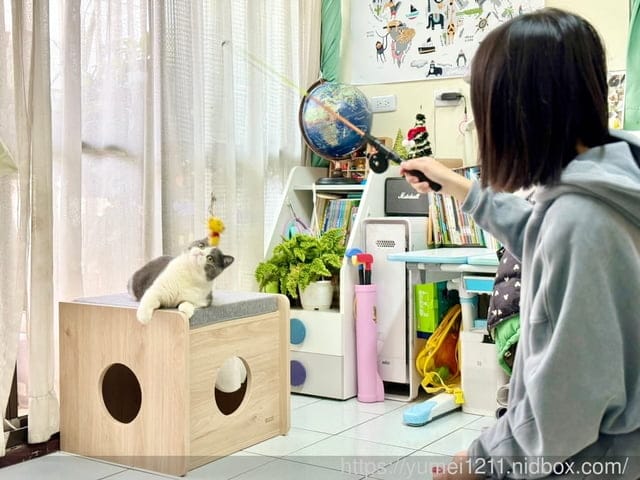 寵物保姆推薦|毛小愛寵物保姆|寵物服務媒合平台|到府照顧服務、到府美容|寵托毛小愛APP - 第9張圖 寵物保姆推薦|毛小愛寵物保姆|寵物服務媒合平台|到府照顧服務、到府美容|寵托毛小愛APP