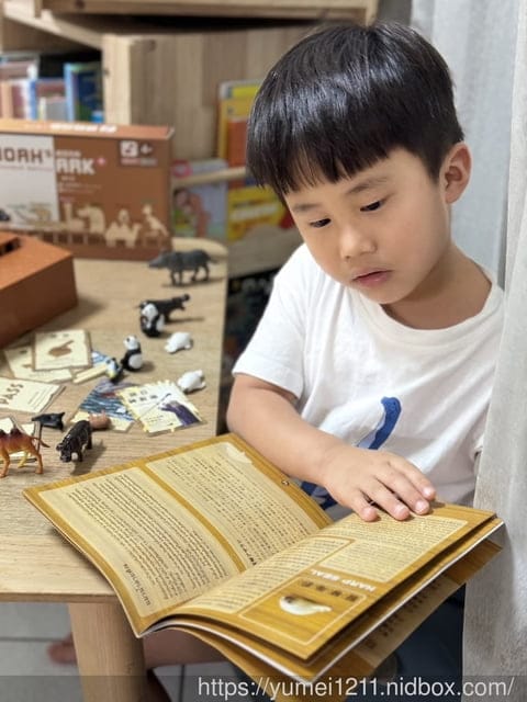 親子桌遊推薦|Kiddy Kiddo 綺迪樂|諾亞方舟擴充版|適合全家一起來玩樂 - 第6張圖 親子桌遊推薦|Kiddy Kiddo 綺迪樂|諾亞方舟擴充版|適合全家一起來玩樂