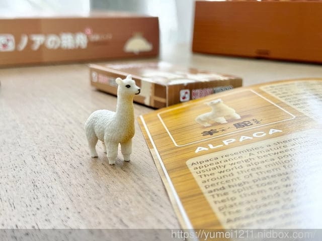 親子桌遊推薦|Kiddy Kiddo 綺迪樂|諾亞方舟擴充版|適合全家一起來玩樂 - 第5張圖 親子桌遊推薦|Kiddy Kiddo 綺迪樂|諾亞方舟擴充版|適合全家一起來玩樂