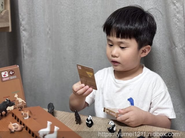 親子桌遊推薦|Kiddy Kiddo 綺迪樂|諾亞方舟擴充版|適合全家一起來玩樂 - 第7張圖 親子桌遊推薦|Kiddy Kiddo 綺迪樂|諾亞方舟擴充版|適合全家一起來玩樂