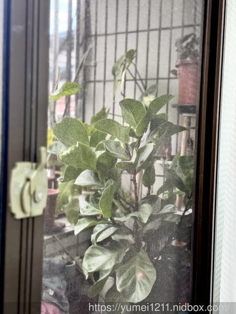 防霾紗窗推薦| 普特絲防霾紗窗安裝流程大揭密 |終於可以用鼻子呼吸好空氣| 真的有差! - 第38張圖 防霾紗窗推薦| 普特絲防霾紗窗安裝流程大揭密 |終於可以用鼻子呼吸好空氣| 真的有差!
