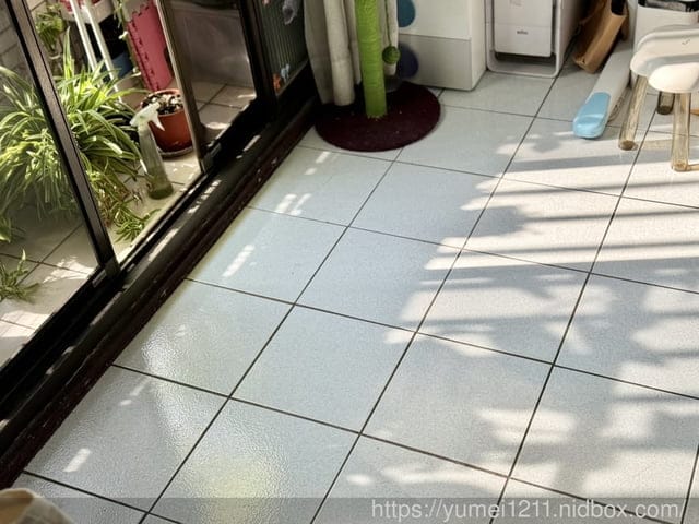 防霾紗窗推薦| 普特絲防霾紗窗安裝流程大揭密 |終於可以用鼻子呼吸好空氣| 真的有差! - 第32張圖 防霾紗窗推薦| 普特絲防霾紗窗安裝流程大揭密 |終於可以用鼻子呼吸好空氣| 真的有差!