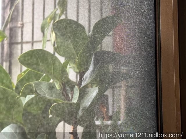 防霾紗窗推薦| 普特絲防霾紗窗安裝流程大揭密 |終於可以用鼻子呼吸好空氣| 真的有差! - 第34張圖 防霾紗窗推薦| 普特絲防霾紗窗安裝流程大揭密 |終於可以用鼻子呼吸好空氣| 真的有差!