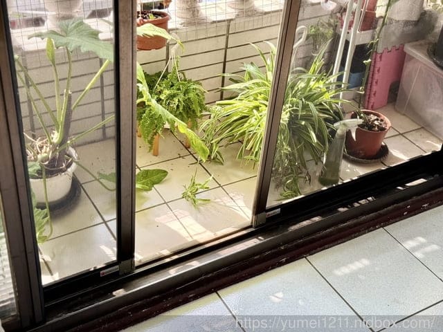 防霾紗窗推薦| 普特絲防霾紗窗安裝流程大揭密 |終於可以用鼻子呼吸好空氣| 真的有差! - 第28張圖 防霾紗窗推薦| 普特絲防霾紗窗安裝流程大揭密 |終於可以用鼻子呼吸好空氣| 真的有差!