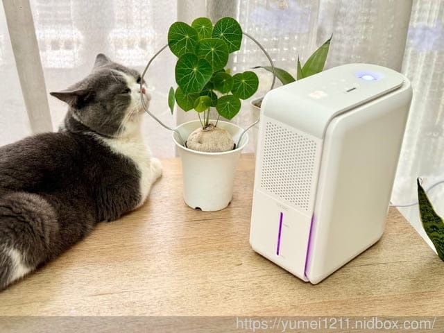 租屋族首推|LeewayWorld裡外生活|Udoric智慧三合一濕度機|3 in 1居家智能家電|10坪個人空間專用設計 - 第8張圖 租屋族首推|LeewayWorld裡外生活|Udoric智慧三合一濕度機|3 in 1居家智能家電|10坪個人空間專用設計
