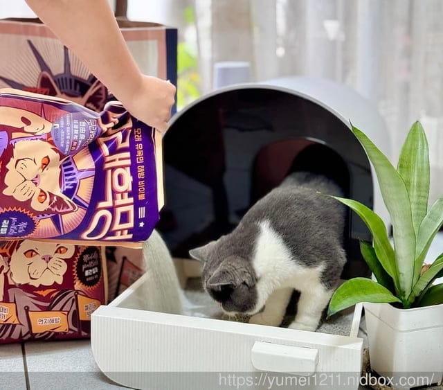 礦砂推薦|毛物極選|韓國品牌 #自由島貓砂|包裝顏値高,凝結力更強泰國也買的到 - 第5張圖 礦砂推薦|毛物極選|韓國品牌 #自由島貓砂|包裝顏値高,凝結力更強泰國也買的到