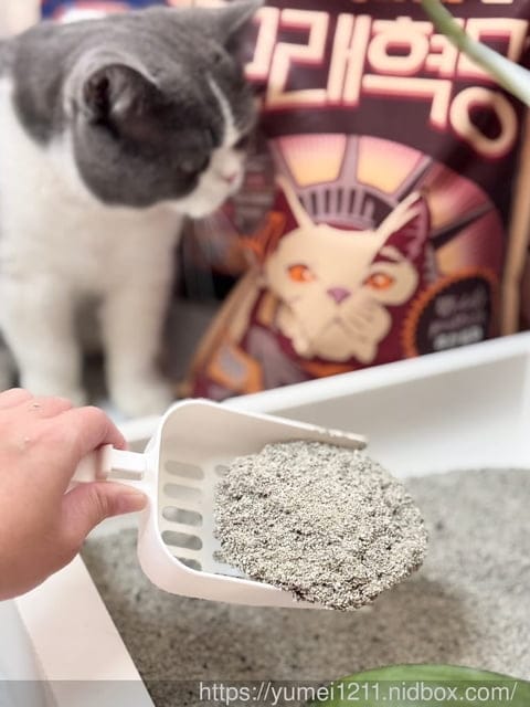 礦砂推薦|毛物極選|韓國品牌 #自由島貓砂|包裝顏値高,凝結力更強泰國也買的到 - 第6張圖 礦砂推薦|毛物極選|韓國品牌 #自由島貓砂|包裝顏値高,凝結力更強泰國也買的到
