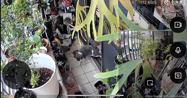 不只是D4 戶外監視器推薦！FAMMIX AIoT 讓你的家變得更聰明，媽媽更安心