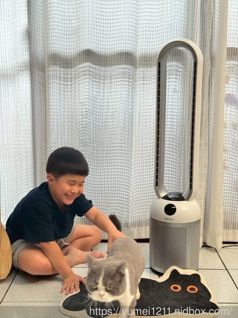 2025夏天必買家電|歌林負離子清淨無葉DC扇|靜音、省電、空氣清淨三合一的夏日救星! - 第12張圖 2025夏天必買家電|歌林負離子清淨無葉DC扇|靜音、省電、空氣清淨三合一的夏日救星!