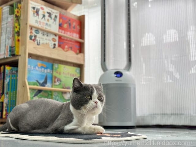 2025夏天必買家電|歌林負離子清淨無葉DC扇|靜音、省電、空氣清淨三合一的夏日救星! - 第6張圖 2025夏天必買家電|歌林負離子清淨無葉DC扇|靜音、省電、空氣清淨三合一的夏日救星!